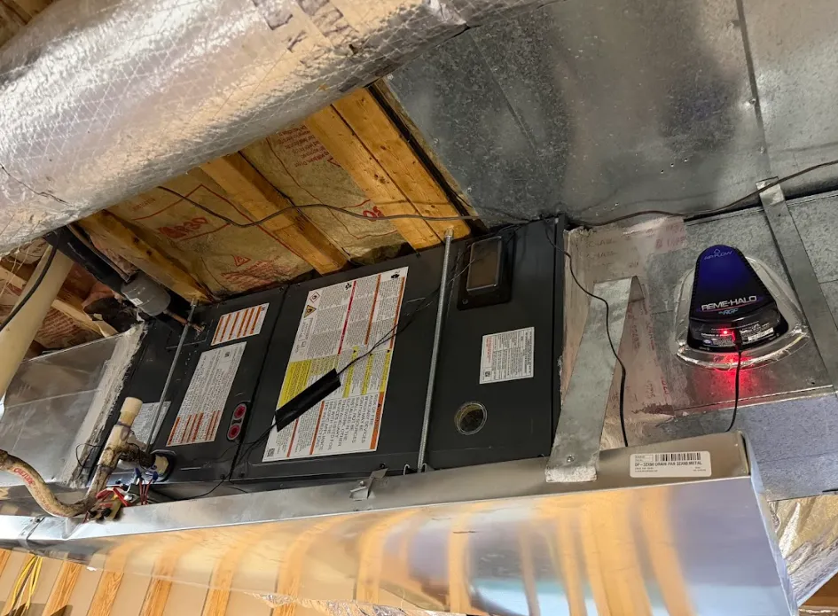 Screenshot 2026-04-08 at 12.02.27 PM_7_11zon